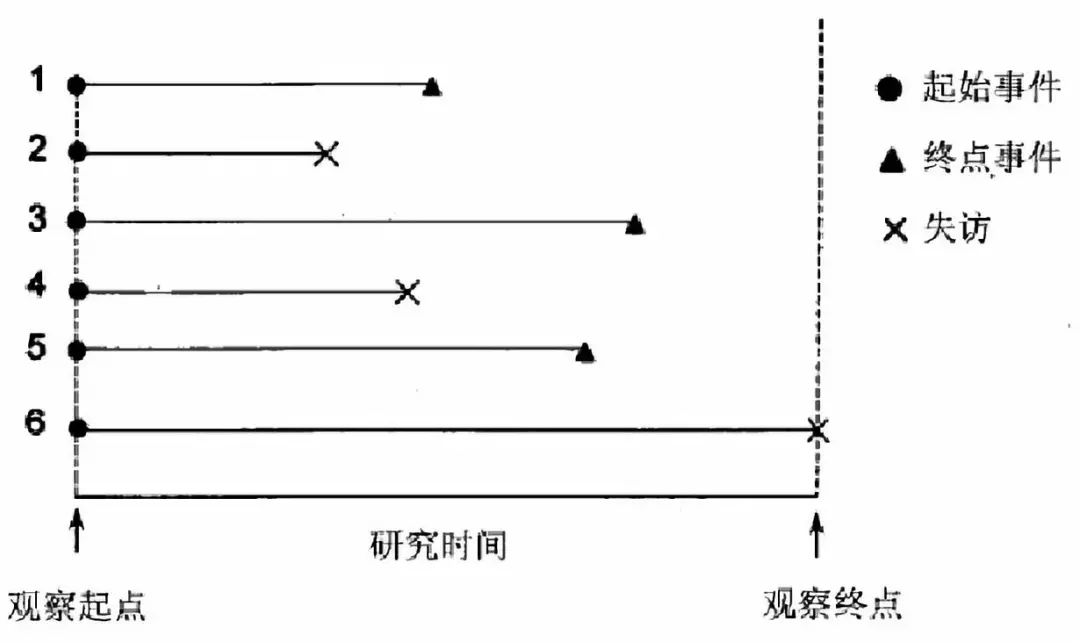 Cox回归模型